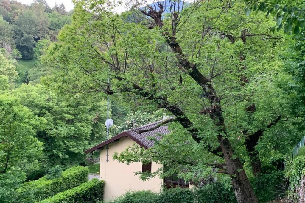 Traditional Villa Bellagio San Primo Lake Como Kültér fotó
